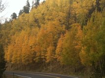 Fall 2012 on the way to Mt. Evans